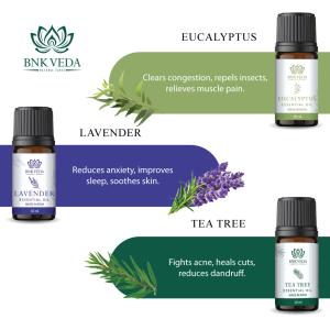 BNK VEDA Natural Cares Essential Oils Set (6x10ml) | Lavender Oil | Peppermint Oil | Tea Tree Oil | Eucalyptus Oil | Lemon Oil | Frankincense Oil | Pure & Organic Essential Oils